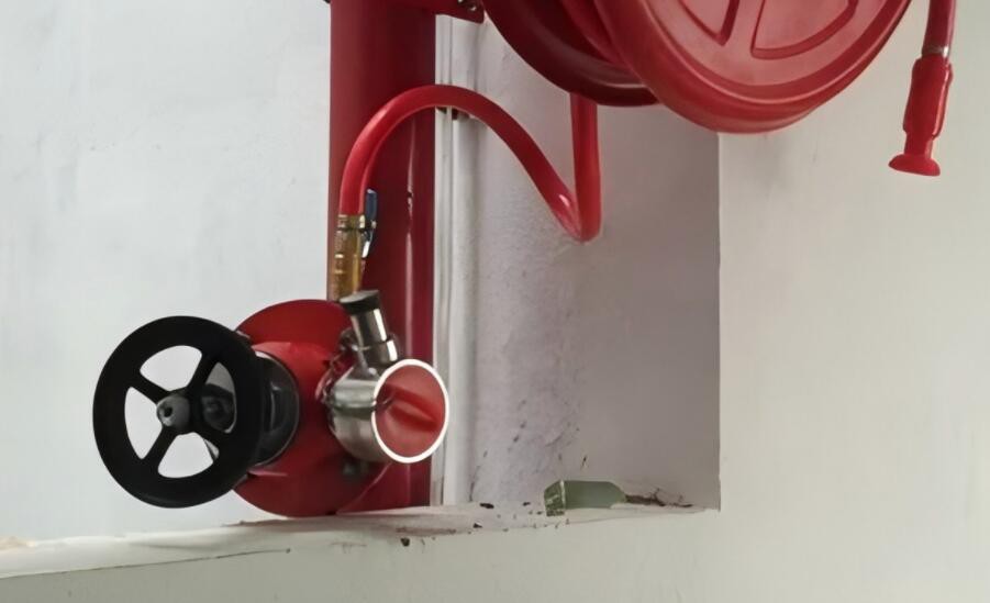 QQ20241106133439 QQ20241106133439